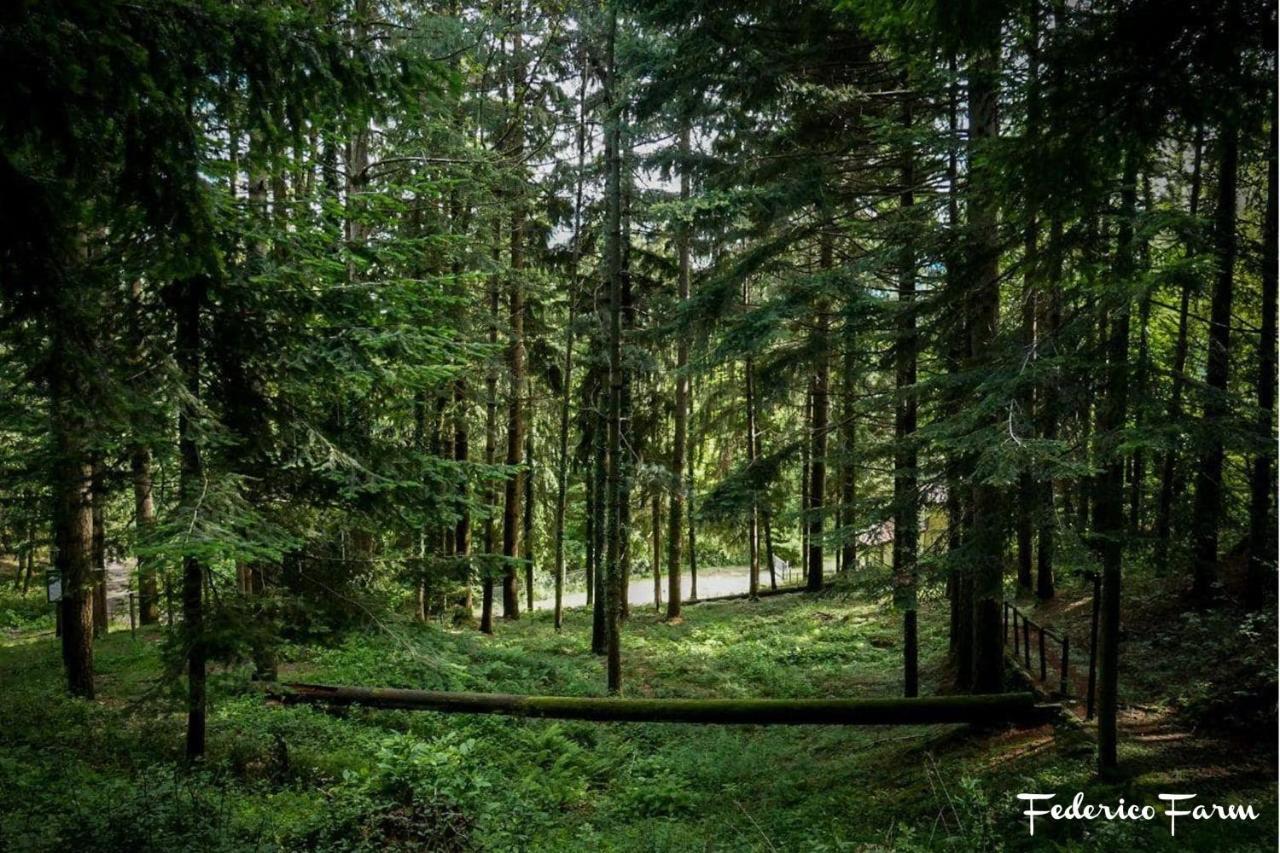 Camping Grondola - Federicofarm Pontremoli Exteriör bild