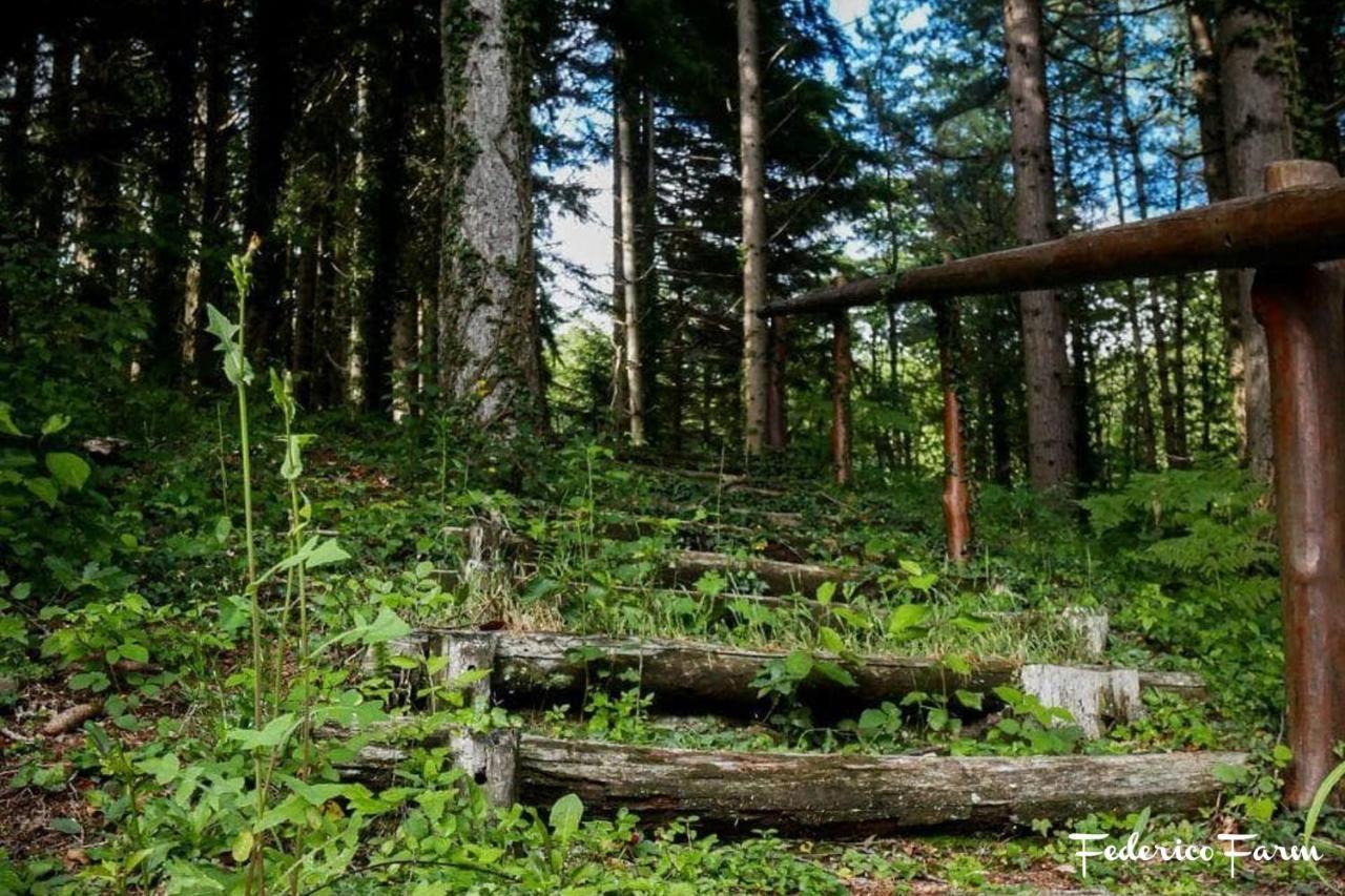 Camping Grondola - Federicofarm Pontremoli Exteriör bild
