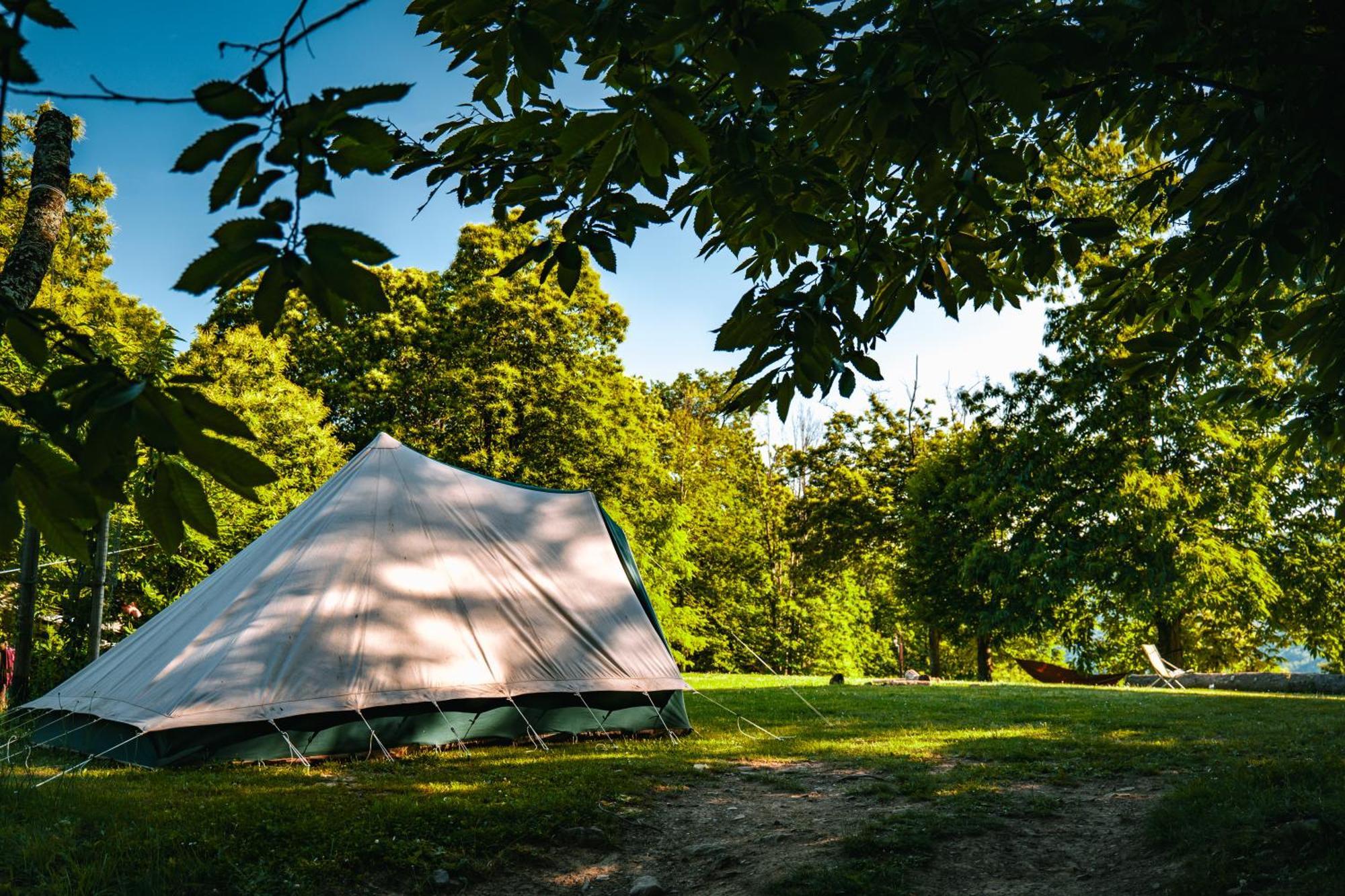 Camping Grondola - Federicofarm Pontremoli Rum bild