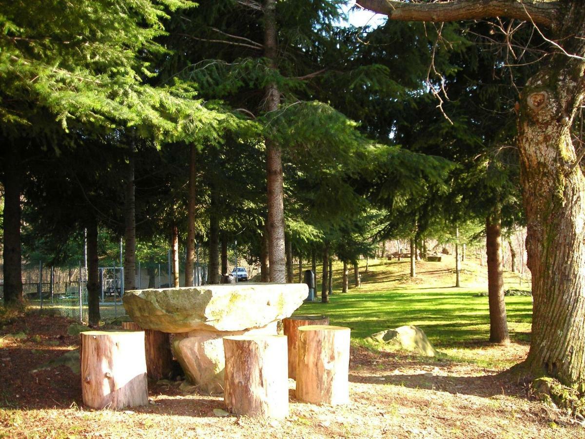 Camping Grondola - Federicofarm Pontremoli Rum bild